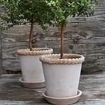 Bergs Potter-EMILIA-kruka-terrakotta-Hemlängtan-3