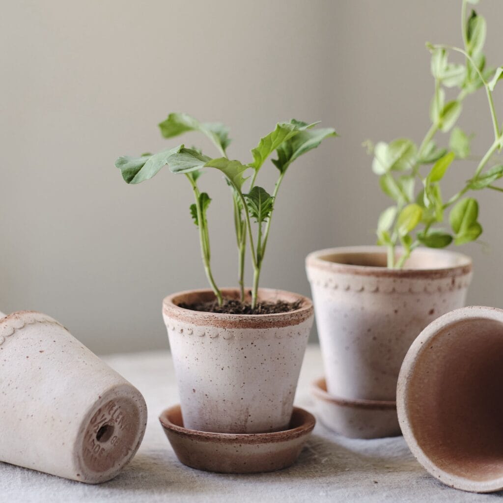 Helena kruka i terrakotta från Bergs Potter med små plantor, arrangerad på ett bord med andra krukor och plantor.