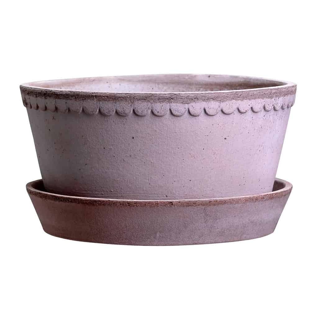Helena kruka grå låg Bergs Potter