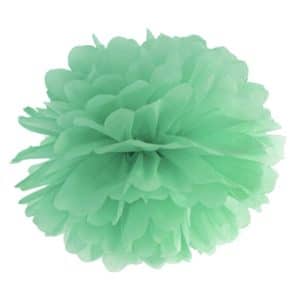 Pom poms blomma, mintgrön