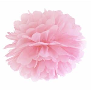 Pom poms blomma, ljusrosa