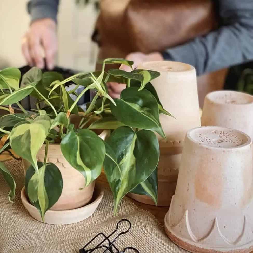 Terrakottakruka ELIZABETH från varumärket Bergs Potter.