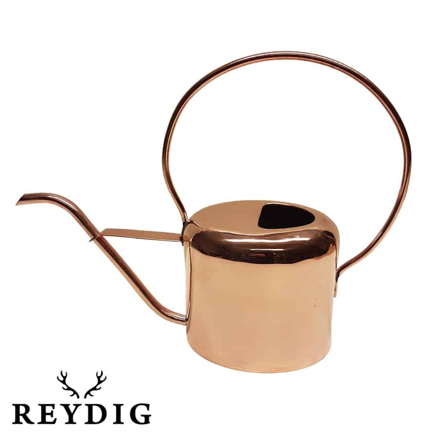 vattenkanna koppar Reydig