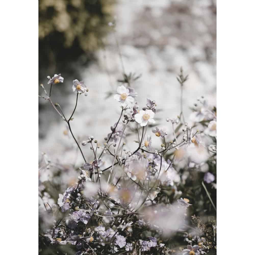 poster blomster Paperly Sköna Ting