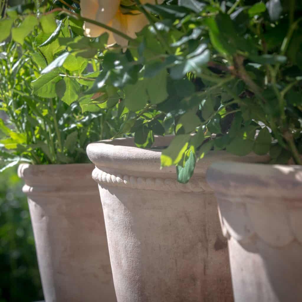Detaljbild av slät terrakottakruka utomhus med grön plantering